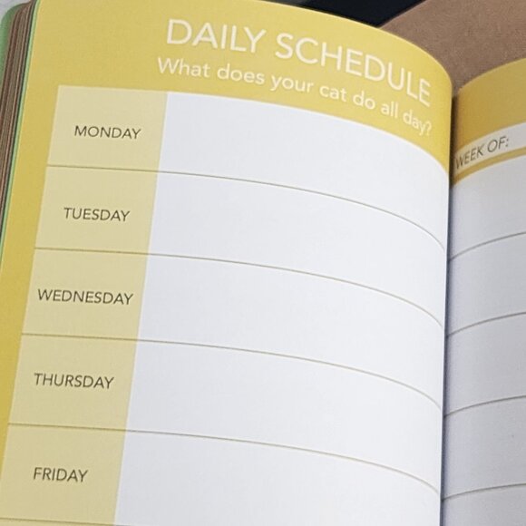 Molly & Rex A Guided Journal for You and Your Cat 208pg Softcover Book Daily - Picture 12 of 16